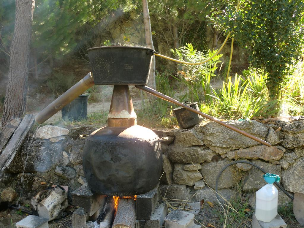 Quinta Do Circo - Serra Da Estrela - Turismo Rural Cortes do Meio Εξωτερικό φωτογραφία